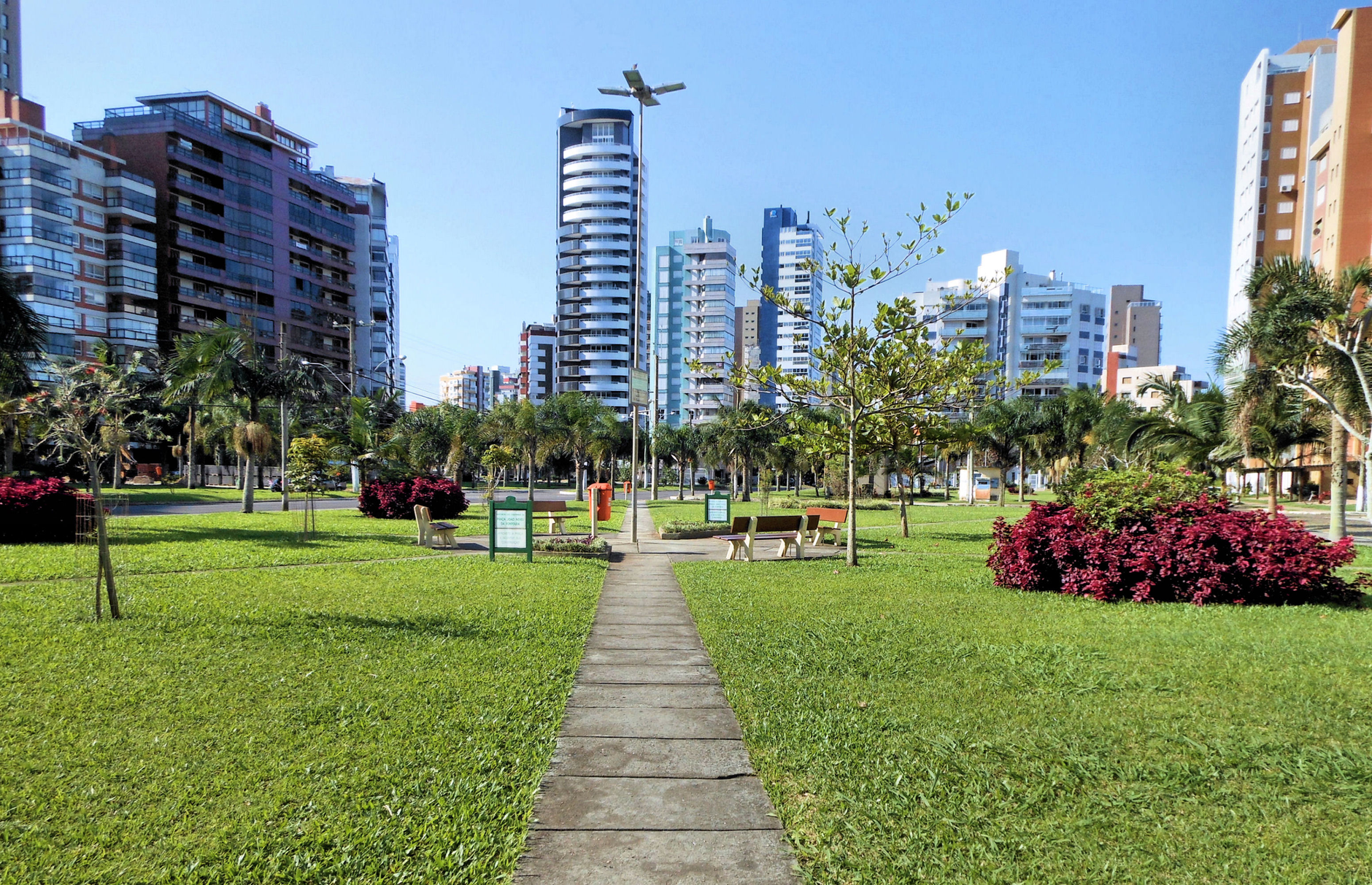 Parque urbano vibrante com arranha-céus ao fundo, vegetação exuberante e céu azul claro.