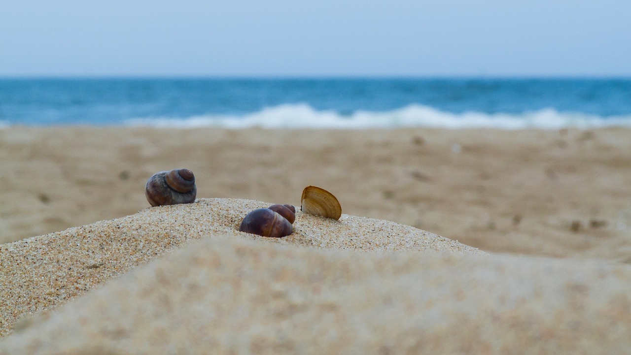praia, areia, mar, a costa, agua, pedras, natureza, azul, feriado, lazur, sandy beach, mar báltico, sky beach, resto, descanso, verão, praias, oeste, férias