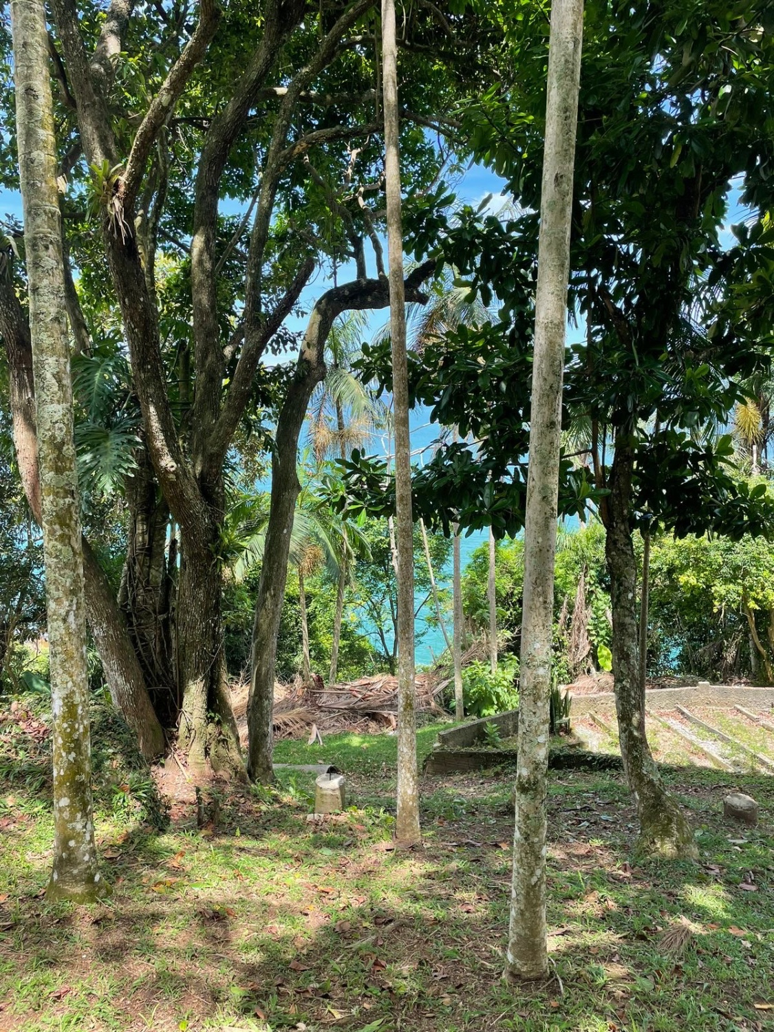 Terreno no Condomínio Horizontal Costa Azul em Balneário Camboriú - foto 7