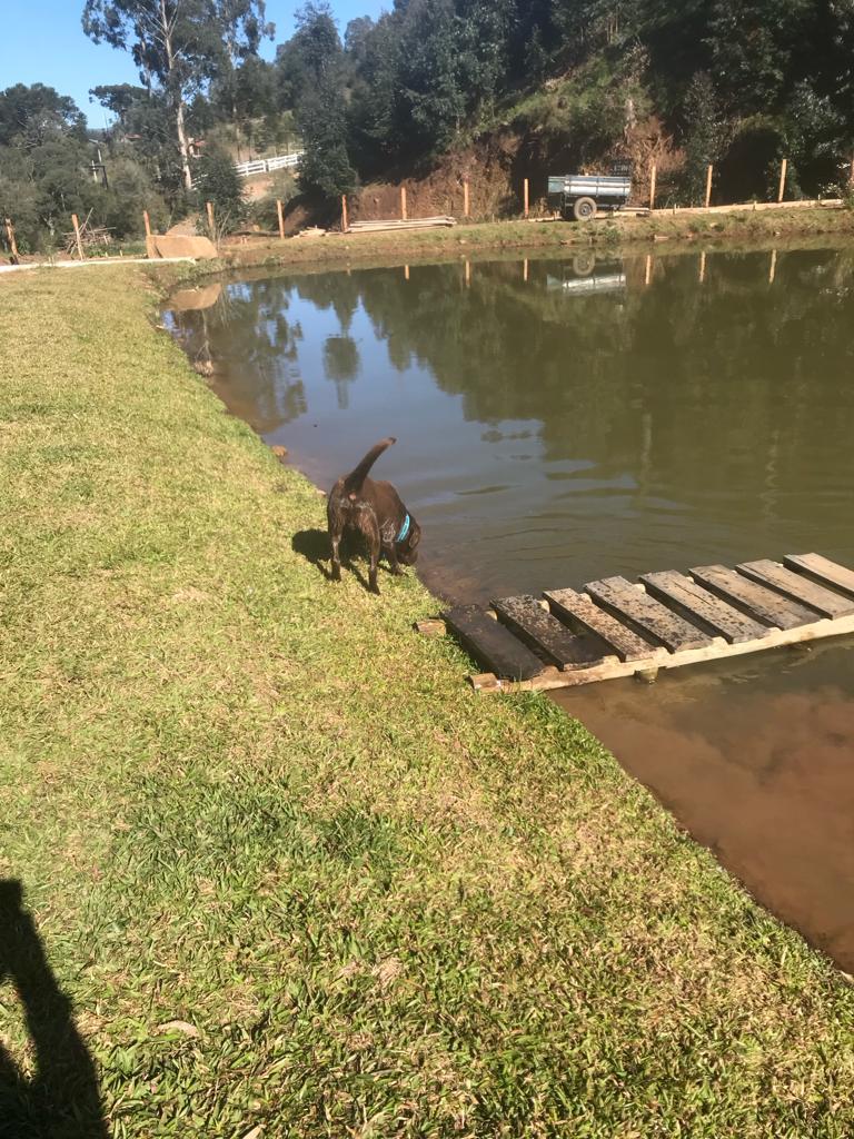Área de Terra com Estrutura em Urubici - SC - foto 8