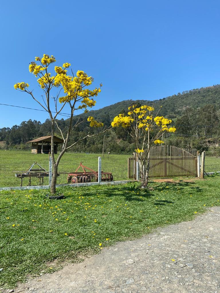 Área de Terra com Estrutura em Urubici - SC - foto 9
