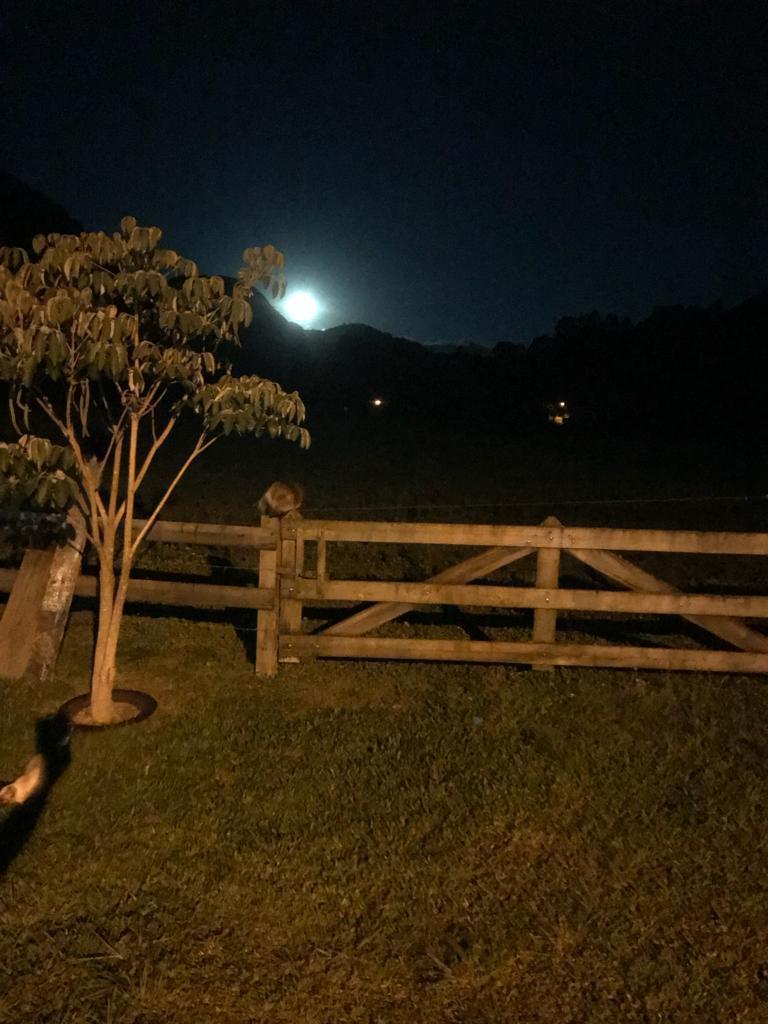 Área de Terra com Estrutura em Urubici - SC - foto 10
