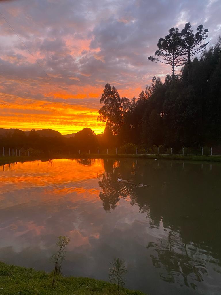 Área de Terra com Estrutura em Urubici - SC - foto 12