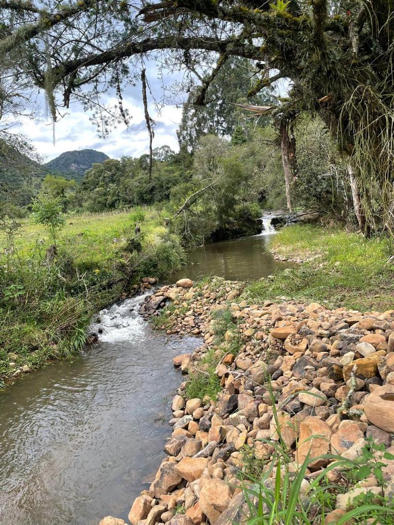 Área de Terra com Estrutura em Urubici - SC - foto 13